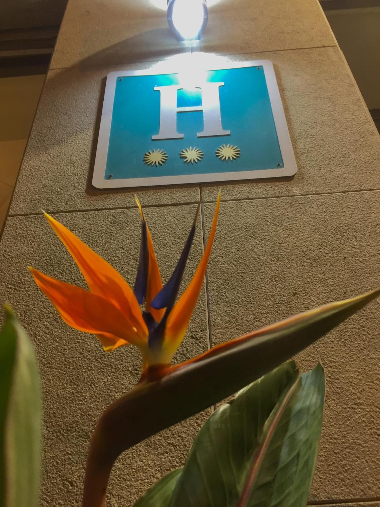 Hotel Stella Maris ブラナス エクステリア 写真
